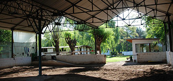 Centro de Equinoterapia Predio