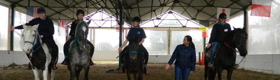 Cursantes realizando prácticas del curso de equinoterapia